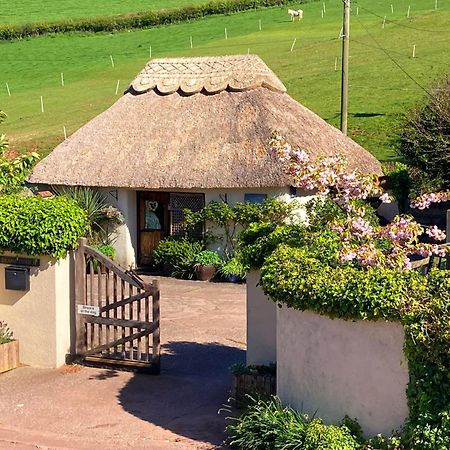 The Nest - Thatched Seaside Country Cottage For Two Stokeinteignhead Exterior foto